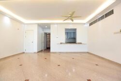 Spring Grove (D10), Condominium #523143761